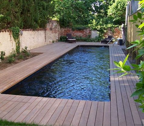 Couloir de nage Bluewood© Bluewood Swimming Pool Decorations, Moderne Pools, Outdoor Pool Area, Swimming Pool Decks, Swimming Pool Landscaping, Small Pool Design, Rectangular Pool, Outdoor Living Design, Modern Pools