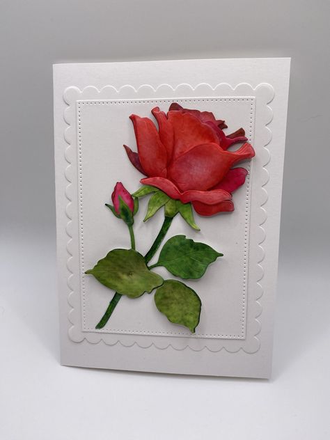 Roses Cards Handmade, Handmade Cards With Roses, Quilled Roses Cards, Honey Bee Flowers, Altenew Virginia Rose, Bee Stamp, Bee Flowers, Layered Cards, Altenew Antique Roses Cards