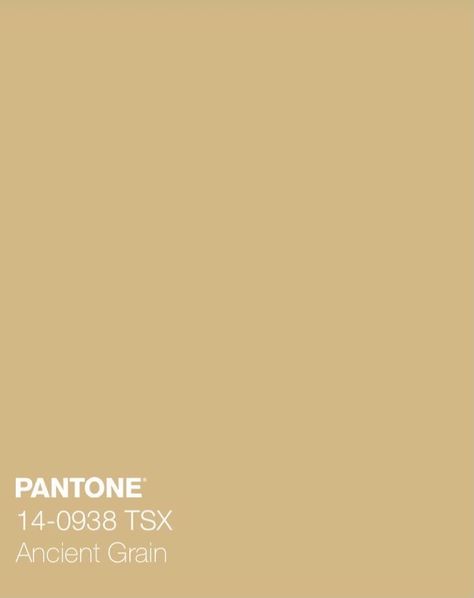 Shades Of Gold Color, Gold Pantone Color, Bridal Asia, Dorado Color, Gold Shades, Gold Color Palettes, Art Time, Light Gold Color, Oil Light