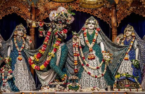 Radha Madhav Mayapur, Radhe Krishna Murti, Mayapur Radha Krishna, Iskcon Mayapur, Krishna Murti, Shree Radha, Iskcon Krishna, Altar Art, Hanuman Wallpapers