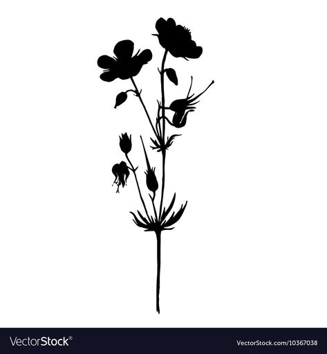 Vector Silhouette, Borders Design, Hand Drawn Illustration, Wild Plants, Drawn Illustration, Wild Flower, Transparent Png, Image Types, Flower Drawing