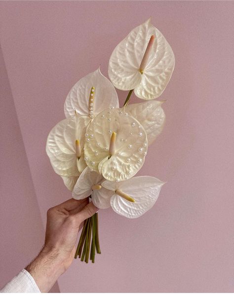 Anthurium Bouquet, Elopement Bouquet, Courthouse Wedding Photos, Unique Wedding Bouquet, Yacht Wedding, Wedding Backdrop Design, Flower Guide, Cabo Weddings, Hand Bouquet