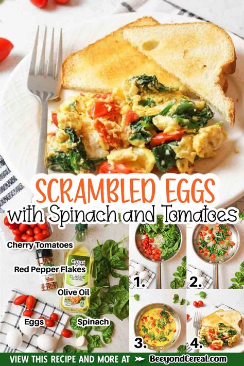 This scrambled eggs with spinach and tomatoes recipe is a perfect way to start your day on a healthier note. Made with fresh spinach and cherry tomatoes, this savory dish is one packed full of nutrition. Scrambled Eggs Spinach Tomatoes, Eggs And Cherry Tomatoes, Tomato Spinach Eggs, Eggs With Cherry Tomatoes, Scrambled Egg With Spinach, Egg Spinach Tomato Scramble, Egg White Veggie Scramble, Spinach Eggs Recipe, Egg Tomato Spinach Breakfast