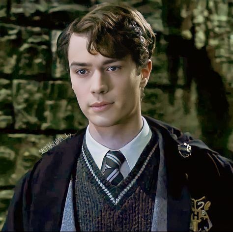 Harry Potter Tom Riddle, Hogwarts Robes, Christian Coulson, Young Tom Riddle, Harry Potter Riddles, Harry Potter Rpg, Tom Hughes, My Sisters Keeper, Big Nose Beauty