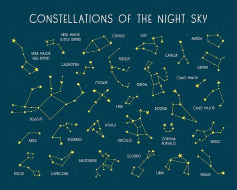 Types Of Constellations, All The Constellations, Different Constellations, Pretty Constellations, Constalation Stars, Draw Constellations, Constellation Mural, Painting Constellations, Starry Room