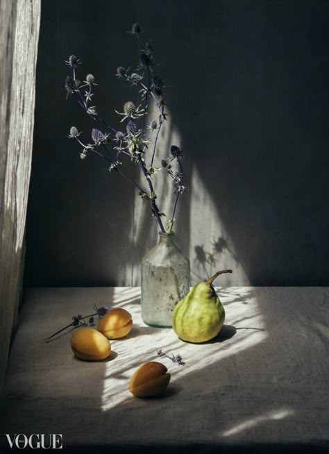 Moody Pic, Creative Pics, Light And Shadow Photography, Life Drawings, Still Life Pictures, Art Still Life, Shadow Photography, Fruit Photography, Still Life Photos