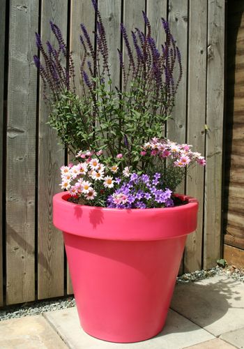 Pink Flower Planter Ideas, Pink Planters, Colourful Pots For Plants, Pink Patio, Pink Plant Pot, Gardening Essentials, Large Garden Planters, Extra Large Planters, 80s Planter Pot Pink Large