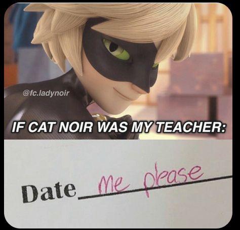 Unreal Quotes, Funny Miraculous, Ladybug Quotes, Night Paris, Catnoir And Ladybug, Miraculous Memes, Ladybug And Cat Noir, Catty Noir, Miraculous Ladybug Oc