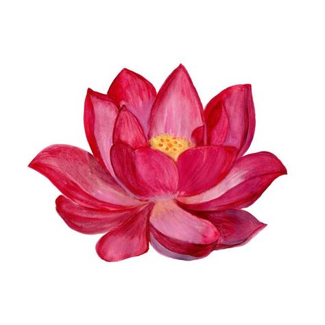 Learn How to Draw Flowers With These Step-by-step Instructions - Art Hearty Flower Art Watercolor, Abstract Lotus, Lotus Artwork, Lotus Flower Drawing, Lotus Drawing, How To Draw Flowers, Watercolor Lotus, Lotus Painting, Lotus Flower Art