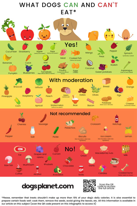 Discover 'What Dogs Can and Can't Eat' with our infographic. Learn safe foods for your pup and what to avoid! What Dogs Can And Can’t Eat, What Fruits Can Dogs Eat, Foods Dogs Can And Cant Eat, Foods That Dogs Can Eat, Foods Safe For Dogs To Eat, What Can Dogs Eat And Not Eat, What Foods Can Dogs Eat, Food Safe For Dogs, Foods Safe For Dogs