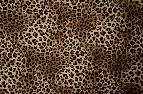 Speckled. Tissue such as the spotted leopard #Sponsored , #SPONSORED, #AD, #Speckled, #spotted, #leopard, #Tissue Cheetah Print Wallpaper Laptop, Glamour Wallpaper Laptop, Cheetah Pictures, Cheetah Print Wallpaper, Macbook Air Wallpaper, Bath Runner Rugs, Animal Print Background, Pc Wallpapers, Leopard Fabric