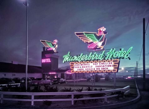 Thunderbird, Las Vegas Retro Signage, Old Vegas, Vintage Las Vegas, Resort Architecture, Las Vegas Photos, Early Evening, Vintage Neon Signs, Vegas Casino, Hotel Motel