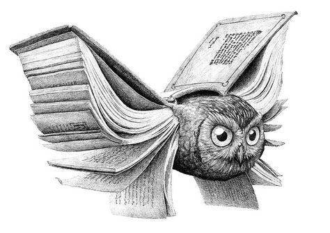 I really like this drawing  --  Redmer Hoekstra...books give you wings... Redmer Hoekstra, Arte Occulta, Owl Books, 동화 삽화, Drawing Eyes, Ink Drawings, Reading A Book, Art Et Illustration, Owl Art