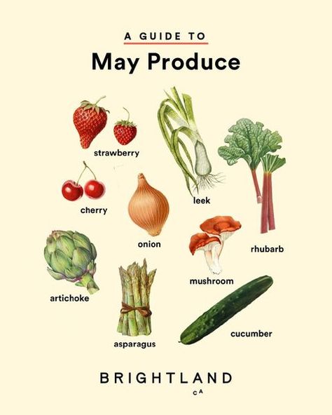 All Posts • Instagram May Produce In Season, May Seasonal Produce, January Produce In Season, May Produce, Healthy Liver Diet, Seasonal Produce Guide, Low Salt Recipes, Roasted Rhubarb, Healthy Eating Meal Plan