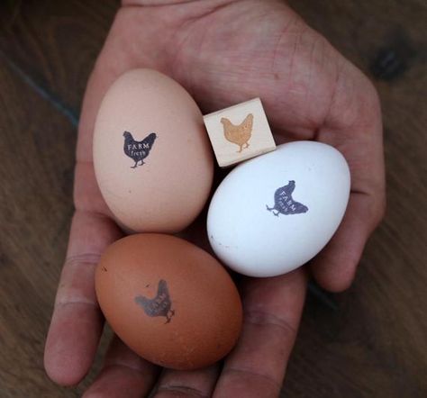 Farm Fresh Egg Carton Ideas, Farm Fresh Egg Business, Custom Egg Cartons, Fresh Egg Stand, Chicken For Eggs, Chicken Egg Stand, Farm Market Ideas, Egg Farm, Cute Chicken Coops