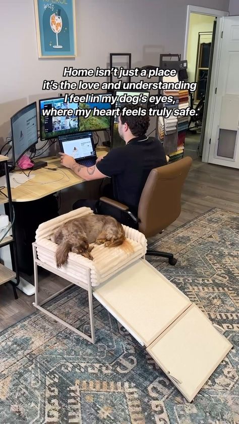 SeatMate - The Pet Office Chair | We’ve come a long way! Get one now! #fordogs #furmom #furdad | Instagram Dog Seat, Fur Mom, Window Bed, Dog Eyes, Pet Furniture, Dog Bed, Table And Chairs, Get One, Office Furniture