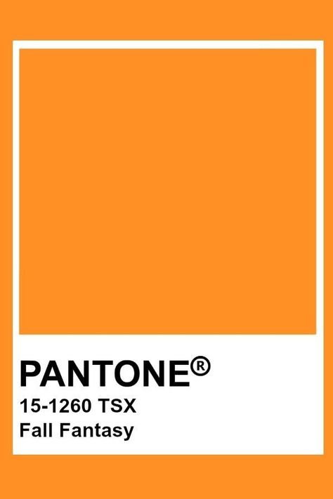 Pantone Tcx Orange, Pantone Fall Colors, Orange Color Pantone, Orange Pantone Colour Palettes, Orange Pantone Color, Fall Pantone Colors, Autumn Pantone, Tangerine Pantone, Orange Pantone