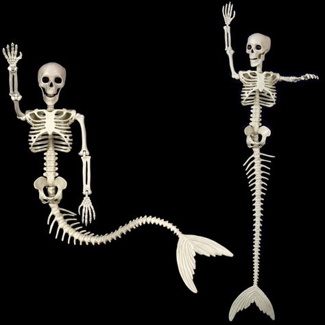 【Great Size for Needs】: The mermaid Halloween skeleons are 33Inches tall, which make your holiday more funny, the unique design will be cool to dress them up for every holiday. 【Posable Joints Skeletons】: These two mermaid Halloween skeletons are constructed to provide a range of motion for placing the arms and the tail of the skeleton in any positions Scary Mermaid, Halloween Party Backdrop, Halloween Themes Decorations, Mermaid Skeleton, Pirate Decor, Fish Skeleton, Chinese Valentine's Day, Haunted House Party, Cemetery Decorations