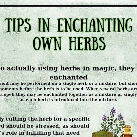 MysticMoonWitch on Instagram: "**Top Tips for Witchcraft Enchanting Herbs 🌿✨**

1. **Choose Fresh Herbs**: Fresh herbs hold more energy and potency. 
2. **Set Your Intention**: Focus on your desired outcome while working with herbs. 
3. **Use Correspondences**: Research which herbs align with your goals (e.g., rosemary for protection). 
4. **Create a Sacred Space**: Clear your area to enhance your magical work. 

Share this with a friend who loves witchcraft! 🌙💖 #WitchcraftWisdom #herbalife #witchtips #witch #Paganartisan" Herbs For Transformation, Witchcraft Enchanting, More Energy, Focus On Yourself, Sacred Space, 2 Set, Fresh Herbs, Top Tips, Rosemary