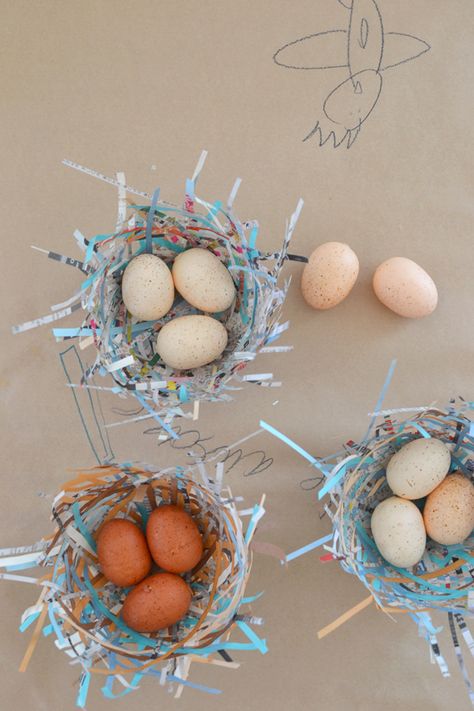 This week I wanted to continue with our theme of birds and share with you this totally cool bird nest craft. OMG, they were so fun!! The best part being the las Diy Bird Nest, Bird Nests Art, Recycled Paper Art, Bird Nest Craft, Birds Nests, Nest Art, Bird Nests, Diy Birds, Easter Basket Diy