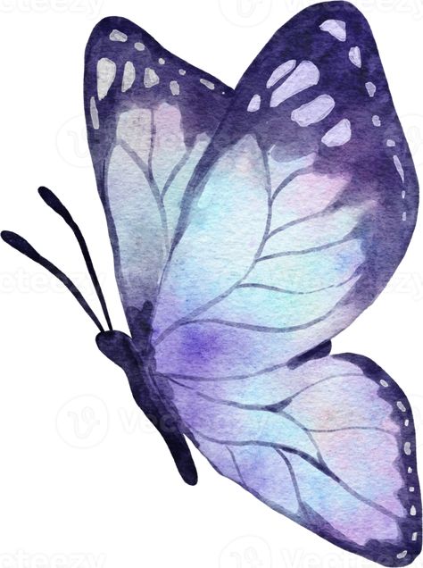 Purple Drawings, Watercolour Butterflies, Butterflies Purple, Wings Sketch, Butterfly Art Drawing, Watercolor Butterflies, Cozy Art, Butterfly Art Painting, Baby Favors