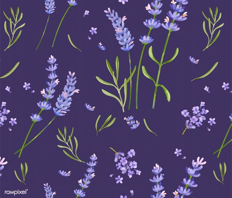 Hand drawn lavender flower pattern | premium image by rawpixel.com Drawn Lavender, Background Lavender, Lavender Pattern, Phlox Flowers, Lavender Watercolor, Hollyhocks Flowers, Lavender Background, Rose Flower Pattern, Free Illustration Images