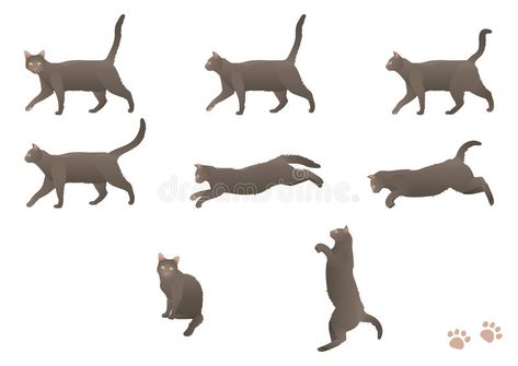 Walking cat. Vector illustration of cat in different positions #Sponsored , #AD, #SPONSORED, #cat, #illustration, #Vector, #Walking Running Cat Tattoo, Cat Walking Illustration, Running Cat Illustration, Cat Walking Reference, Cat Walking Tattoo, Cat Drawing Walking, Cat Running Illustration, Cat Walking Drawing, Japanese Fiction