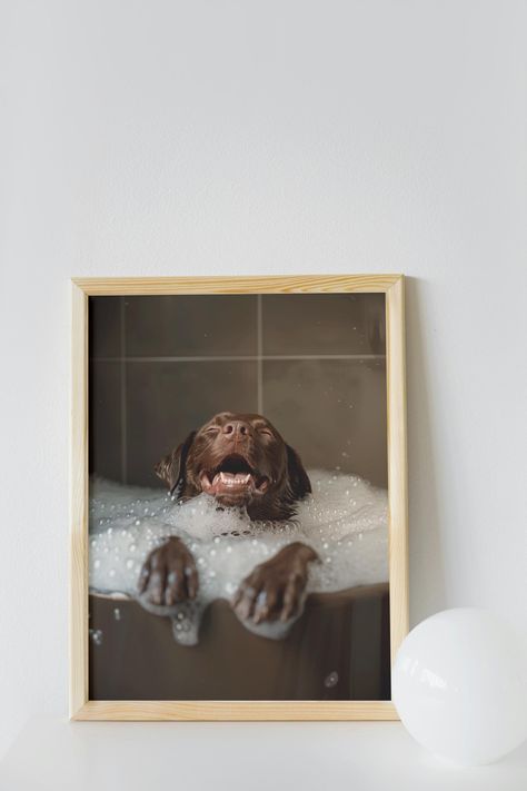 Transform your bathroom with this charming Chocolate Labrador Retriever Smiling in the Bubble Bath digital download wall art! Thank you for purchasing our products! Once you have purchased a digital file or digital bundle, Etsy will send a confirmation email with a link to download your products. Please use http://www.etsy.com/your/purchases in your device's browser to download your files; Etsy's mobile app will not let you download them. Below are the digital print sizes will be sent to your re Funny House Decor, Dog Bathroom Decor, Brown Lab, Funny House, Dog Bathroom, Labrador Art, Chocolate Labrador Retriever, Wall Art Funny, Chocolate Labrador