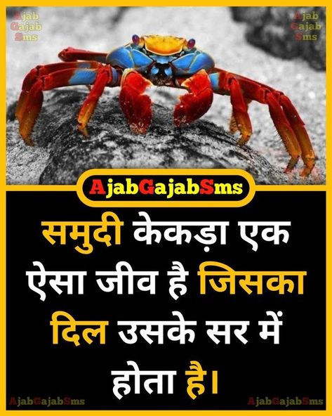 Gk Knowledge In Hindi, Ias Upsc Wallpapers, Fact In Hindi, Cool Wallpapers Music, Youtube Facts, Interesting Facts In Hindi, Fun Facts About Life, Interesting Science Facts, Biology Facts