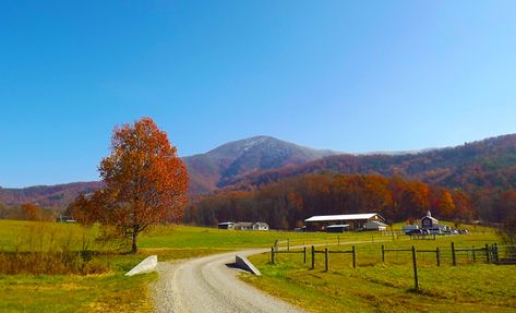 Wears Valley Tennessee, Tennessee Family Vacation, Smokey Mountains National Park, Tennessee Road Trip, Mountains Vacation, Smoky Mountains Vacation, Tennessee Vacation, Valley Road, Cades Cove