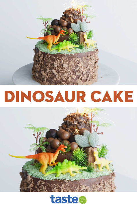 Dinosaur Cake Diy, Birthday Cake Videos, Three Rex Birthday Cake, Diy Dinosaur Cake, Triceratops Cake, Dinosaur Cakes For Boys, Dino Cakes, Birthday Cake Video, Flake Chocolate