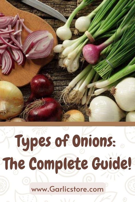 Types Of Onions, Onion Leeks, Sweet Onions, Root Veggies, Onion Recipes, Red Onions, White Onion, Sweet Onion, Yellow Onion