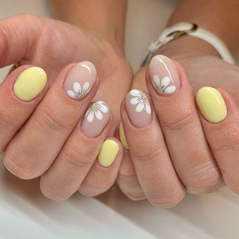 39 Latest Cute Short Nails Designs To Try In 2023! - alexie Nail Designs Yellow And White, Daisy Nail Art Designs, Simple Floral Nail Art, Luminary Nails Design, Nail Designs Yellow, Luminary Nails, Round Nail Designs, Nails Inspired, Cute Spring Nails