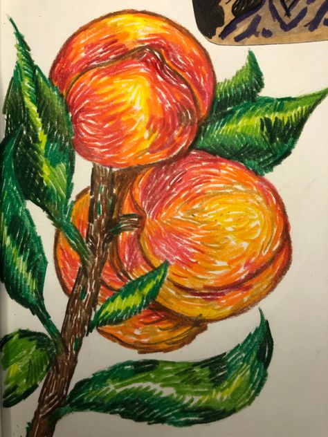 Color drawing peaches
Pencil warm fruit Orange Doodles Colour, Fruit Sketches, Peach Sketch, Orange Sketch, Colored Pencil Illustration, Peach Drawing, Leaf Print Art, Fruit Sketch, Art Alevel