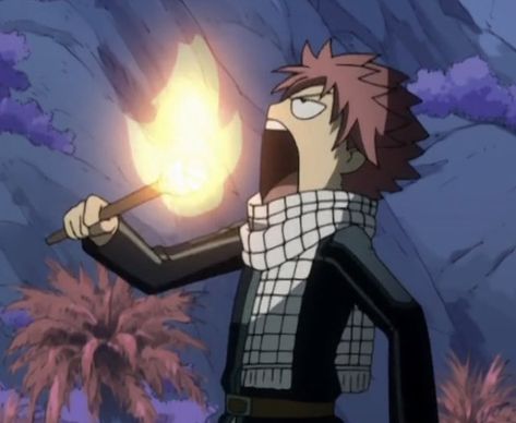 Funny Fairy Tail, Fairy Tail Pfp, Fairy Tail Anime Natsu, Fairy Tail Meme, One Piece Fairy Tail, Fairy Tail Photos, Fairy Tail Funny, Natsu Fairy Tail, Fariy Tail