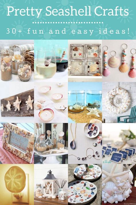 Creative Things To Do With Seashells, Craft Ideas Using Sea Shells, Crafts With Seashells Ideas, Useful Crafts For Adults To Sell, Large Seashell Crafts, Crafts Using Shells Seashells, Art With Seashells Diy Ideas, Craft With Seashells Ideas, Different Crafts Ideas