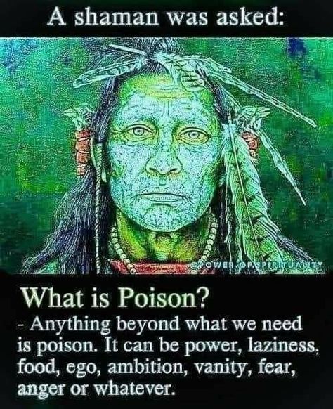 What Is Poison, Native American Wisdom, Shamanic Healing, Awakening Quotes, Proverbs Quotes, Genius Quotes, Healing Words, Philosophy Quotes, Advice Quotes