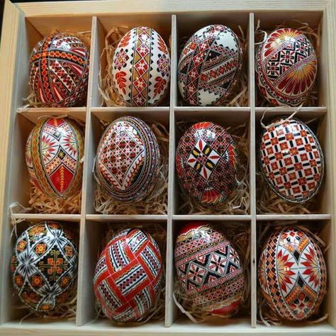 Ukrainian Easter Eggs Patterns, Turkey Egg, Pysanky Eggs Pattern, Egg Ideas, Daily Greetings, Easter Egg Pattern, Ukrainian Easter, Pysanky Eggs, Egg Dye