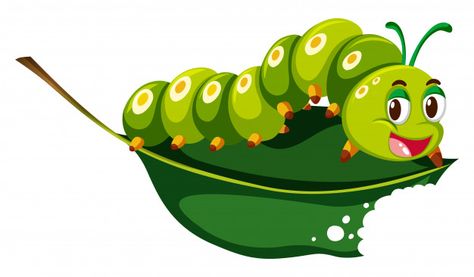 Cute caterpillar chewing green leaf Prem... | Premium Vector #Freepik #vector #leaf #green #nature #character Nursery Lesson Ideas, Vector Art Design, Butterfly Life Cycle, Horse Crafts, Cement Crafts, Poster Background Design, Bee Art, Book Design Layout, Spring Art