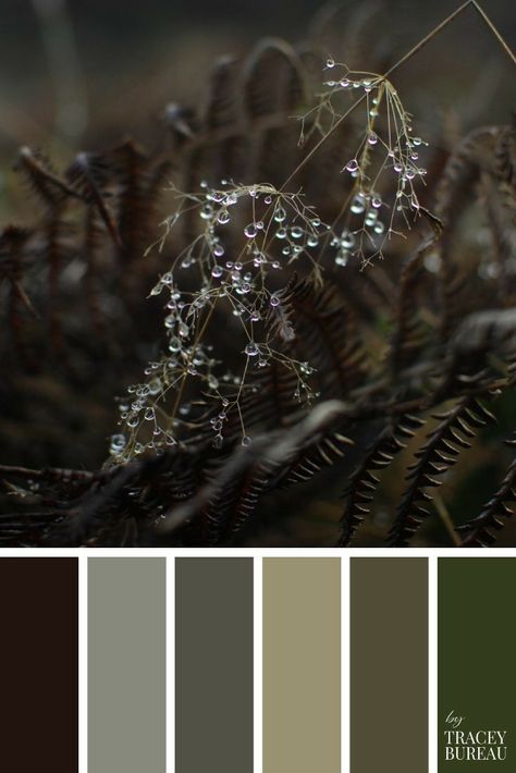 Color Ideas Wedding, Palettes Color, Paint Color Ideas, Colour Swatches, Wedding Color Ideas, Paint Color Schemes, Color Schemes Colour Palettes, Palette Inspiration, Palette Color