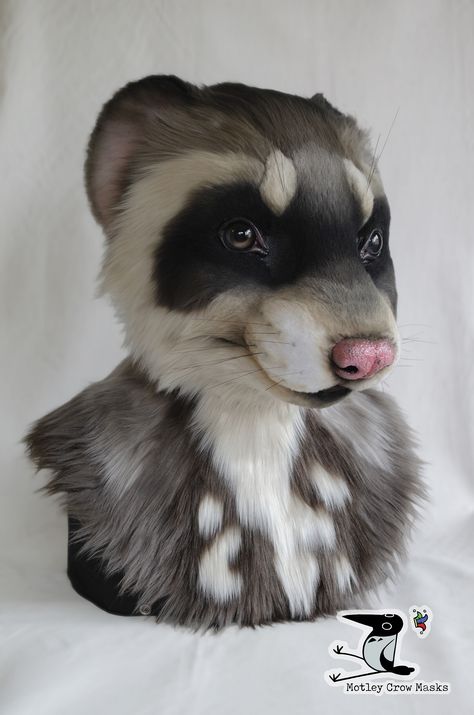 Ferret Mask Crow Masks, Crow Mask, Pine Marten, A Ferret, Bojack Horseman, Animal Jam, Warrior Cats, Cool Costumes, Ferret