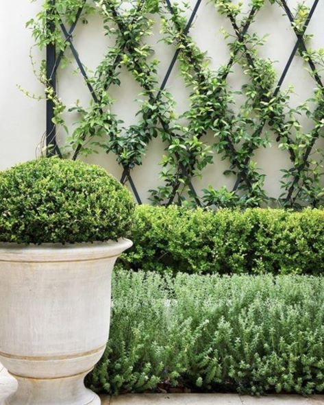 French Themed Garden Ideas: How To Design Your Own Beau Jardin 6 Side Return Garden Ideas, Side Return Garden, Small Garden Inspiration, Boxwood Landscaping, Courtyard Landscaping, French Country Garden Decor, Diy Garden Trellis, Country Garden Decor, Jardim Diy