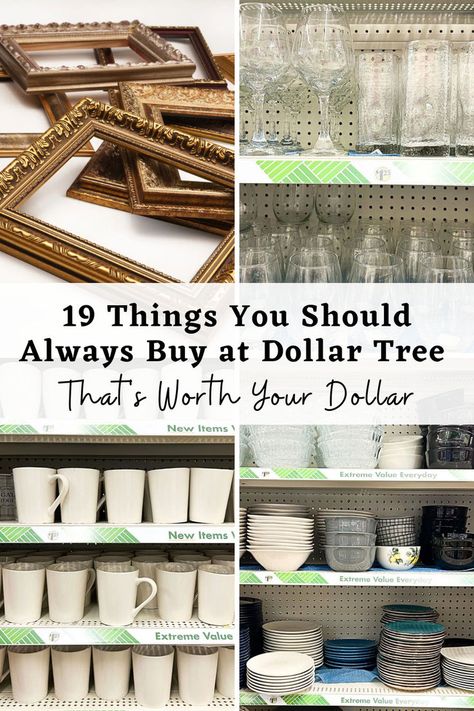 Let’s give Dollar Tree the credit it deserves. Beyond being a go-to for budget-friendly items, it’s a convenient one-stop shop that caters to a range of needs, from kitchen essentials to home basics. While Dollar Tree might not be your initial go-to for these items, it holds some surprisingly great finds. Dollar Tree Kitchen Decor, Dollar Tree Finds, Tree Home, Dollar Tree Decor, Home Basics, Cheap Home Decor, Kitchen Essentials, Dollar Tree, Dollar Stores