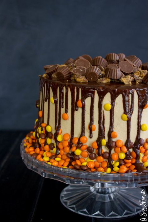 Chocolate and Peanut Butter Drip Cake - I Say Nomato Nightshade Free Food Blog Reeses Cake Ideas, Peanut Butter Drip Cake, Reese Cake, Reeses Cake, Chocolate Peanut Butter Cake, Butter Cupcakes, Chocolate And Peanut Butter, Peanut Butter Cake, Rich Chocolate Cake