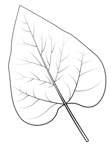 single leaf lines coloring pages Makanan Pokok, Bodhi Leaf, Single Leaf, Flowers Coloring, Fotografi Vintage, Leaf Drawing, Leaf Coloring, Sketchbook Journaling, Flower Images