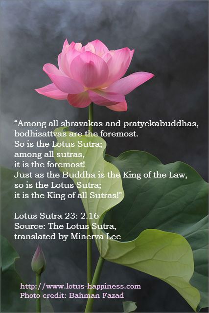 Lotus Sutra 23: 2.16 Buddhism Beliefs, Birthday Verses For Cards, Birthday Verses, Lotus Sutra, Verses For Cards, The Buddha, The Lotus, Buddhism, The King