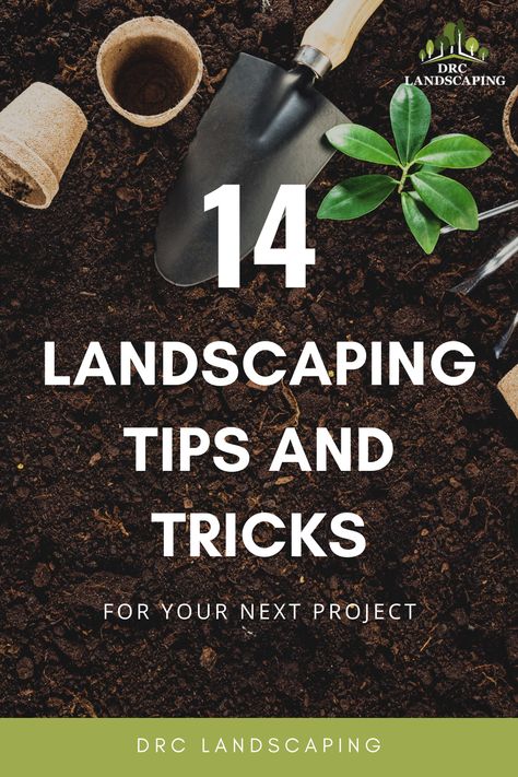 Did you know that leaves can also be used as a minor fertilizer for grass and earthworms? Learn more tips and tricks on landscaping here! #diylandscaping #andscaping #gardening #reno #northernevada #landscapingtips #landscape #backyardideas #backyard #lawncare Trick Pictures, Northern Nevada, Metal Edging, Weed Barrier, Soil Testing, Earthworms, Landscape Fabric, Landscaping Tips, Natural Edge