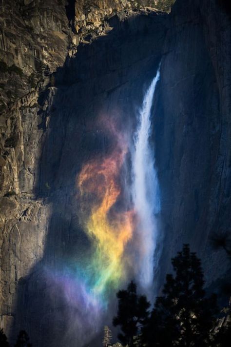 Rainbow Waterfall, Dragon Fire, Yosemite Falls, Exotic Places, Fire Dragon, Yosemite National, Top Of The World, Yosemite National Park, Amazing Nature