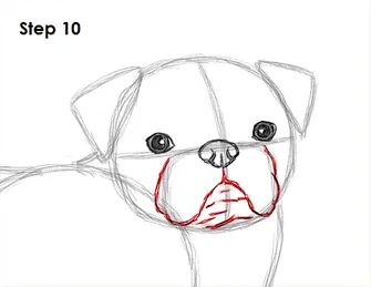 Pug Drawing 10 Draw A Pug, Pug Drawing, Line Drawing Simple, Cartoon Dog Drawing, Pug Gifs, Draw A Dog, Realistic Animal Drawings, Pug Christmas, Pug Art