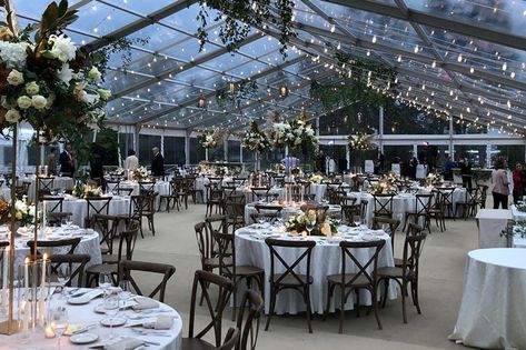 Clear Top Tent, Tent Wedding Reception, Backyard Tent, Clear Tent, Tent Decorations, Tent Rentals, Event Tent, Clear Top, Wedding Tent